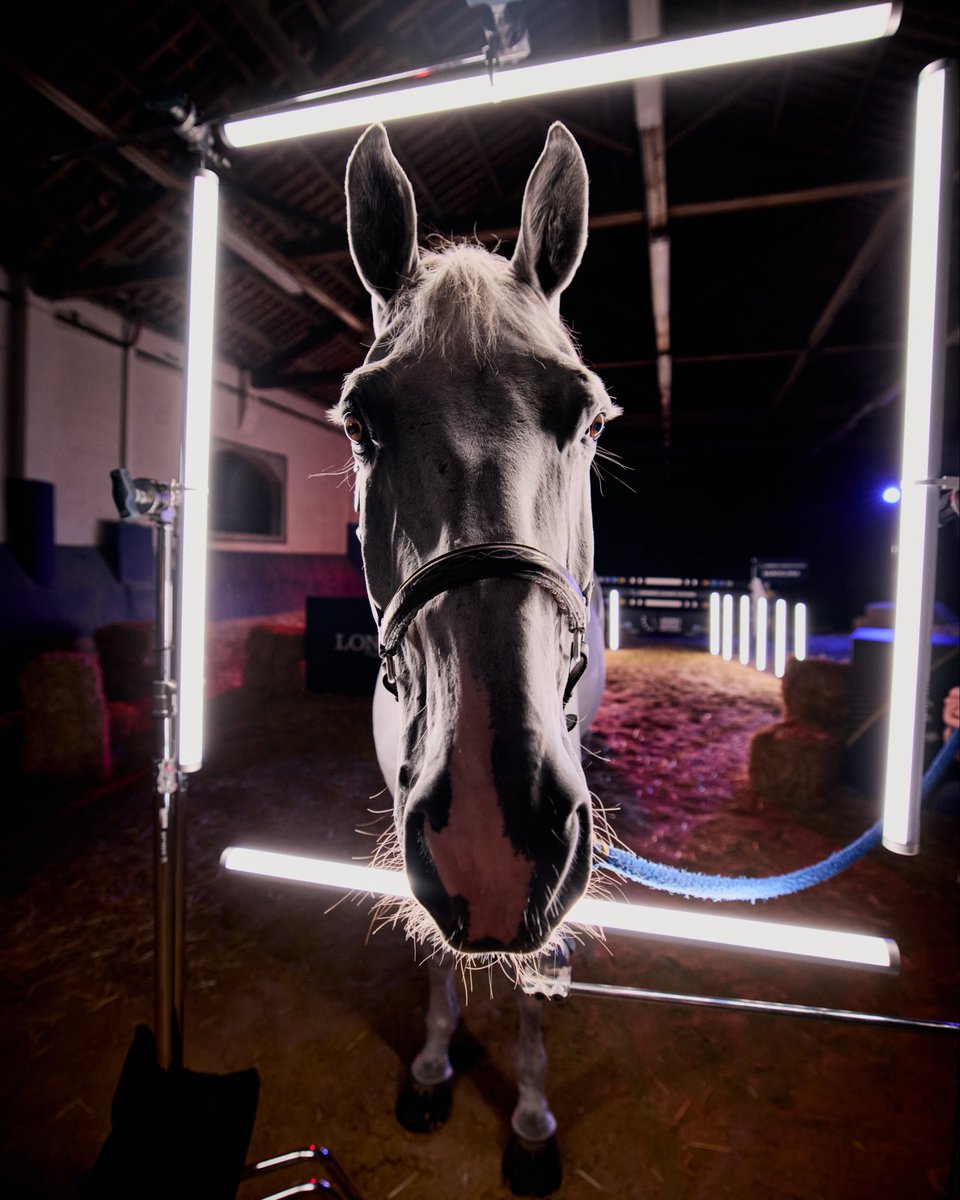 LonginesNations's tweet photo. Buenos días, Barcelona! 🌞🇪🇸
Day 3 in the Catalan sun, and the momentum is building. Take a behind-the-scenes look for a morning glimpse from the grounds before today’s action gets underway! 🌟👀
📸©️ FEI/Liz Gregg
#FEI #LonginesLeagueOfNations #OneTeam #OneNation #OneJumpingDream