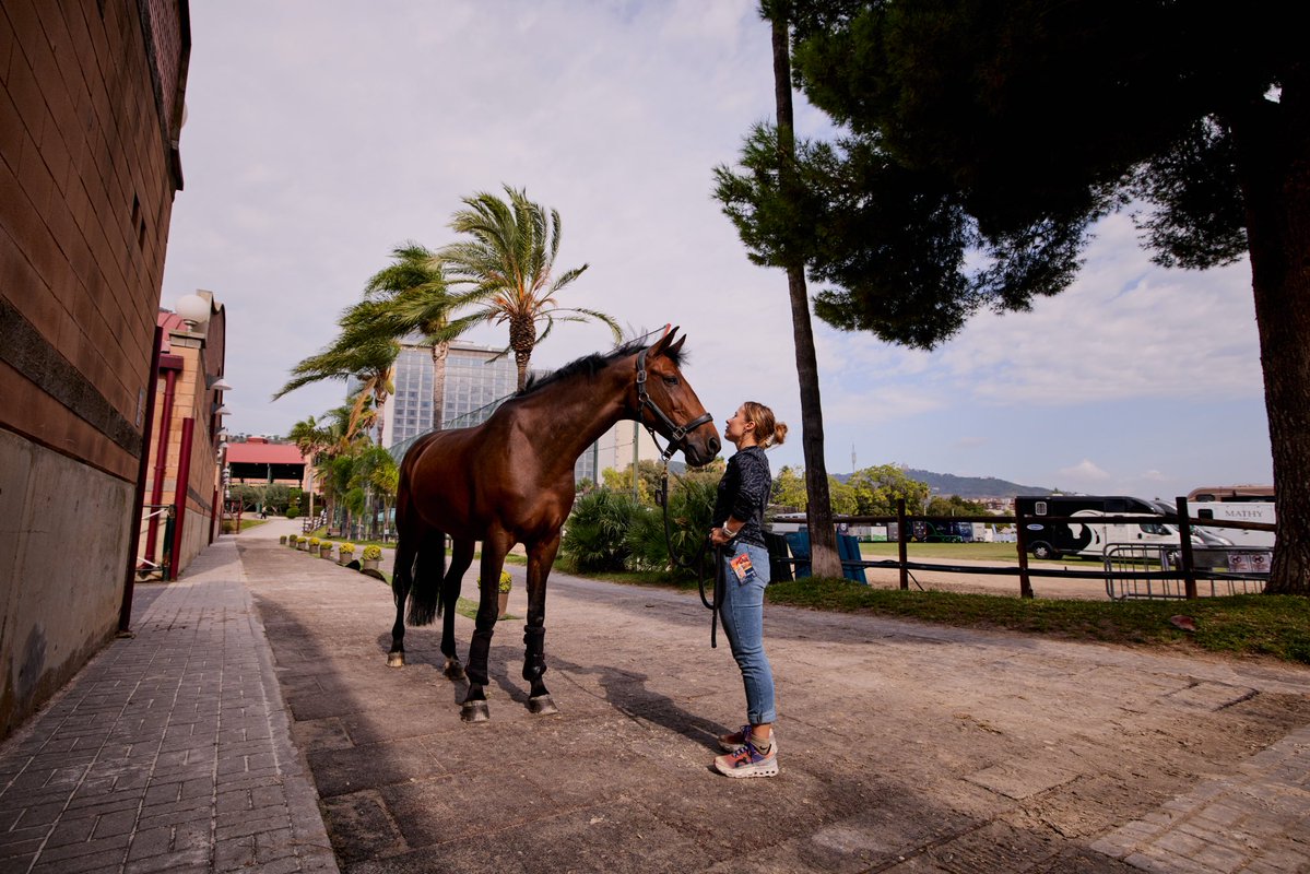 LonginesNations's tweet photo. Buenos días, Barcelona! 🌞🇪🇸
Day 3 in the Catalan sun, and the momentum is building. Take a behind-the-scenes look for a morning glimpse from the grounds before today’s action gets underway! 🌟👀
📸©️ FEI/Liz Gregg
#FEI #LonginesLeagueOfNations #OneTeam #OneNation #OneJumpingDream
