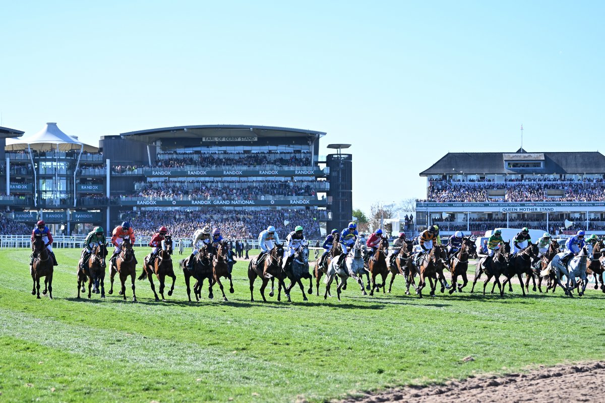 racecoursemedia's tweet photo. Racecourse Media Group (RMG) is delighted to announce that it has agreed long-term extensions for the audio-visual and data rights of 33 British racecourse shareholders - through to 31 December 2033. https://t.co/WmWo2P06fj https://t.co/bDTP2hLktX