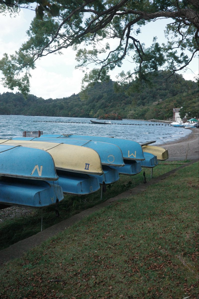 MapleShadow's tweet photo. 坐了一天车，在湖边差点被冷风吹成傻子，回到酒店喝杯茶看看书压压惊 https://t.co/nq6RA43uNp