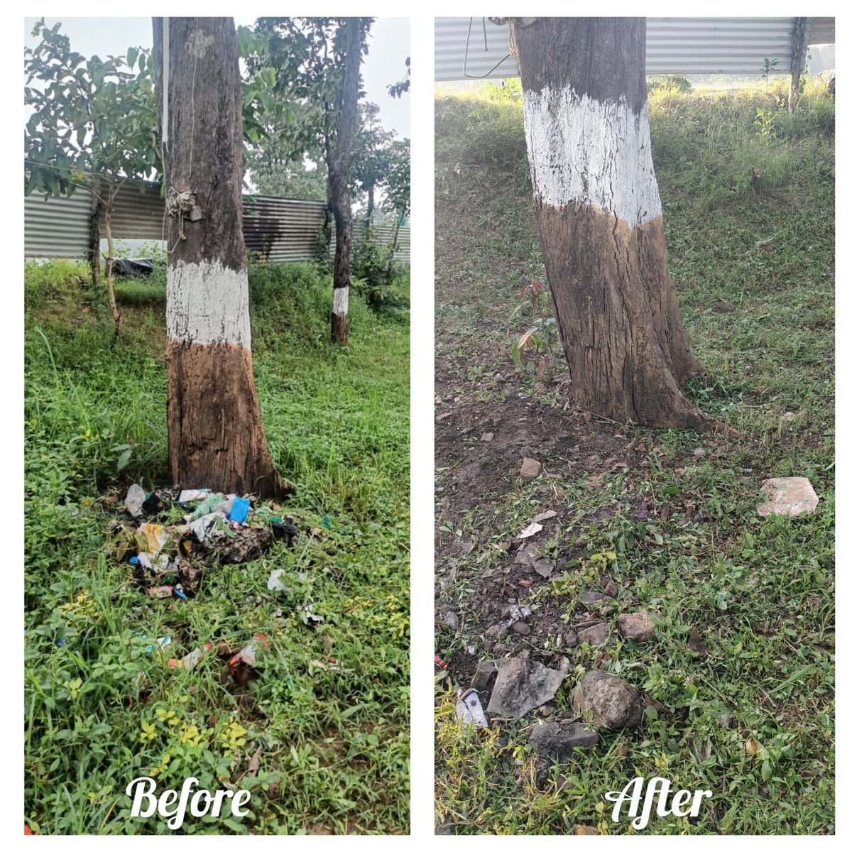 150BNCRP's tweet photo. 🌿 Special Campaign 6.0 🌿
150 Bn CRPF undertook a cleanliness drive at identified locations, contributing towards a cleaner, greener and more hygienic environment.
#SpecialCampaign6  #SwachhBharat @crpfindia @HMOIndia @PIBHomeAffairs @PMOIndia @DARPG_GoI https://t.co/lxVHaNWSIv