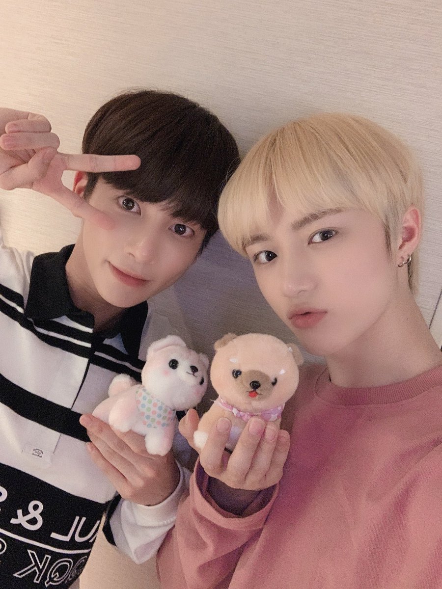 uppuuzzz's tweet photo. #모구모구 #모아트친소 

중콘 가는 모아랑 친해져요  ૮꒰ྀི⸝⸝> . <⸝⸝꒱ྀིა 

♡-f
rt-dm
@-반모 https://t.co/yDVNmmRZt7