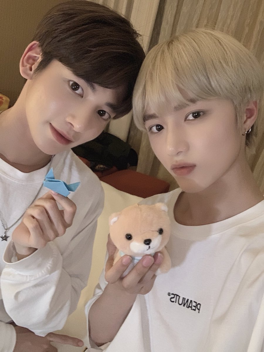 uppuuzzz's tweet photo. #모구모구 #모아트친소 

중콘 가는 모아랑 친해져요  ૮꒰ྀི⸝⸝> . <⸝⸝꒱ྀིა 

♡-f
rt-dm
@-반모 https://t.co/yDVNmmRZt7