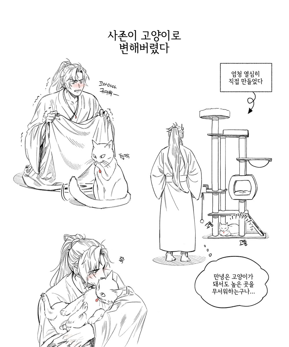 kaz1946's tweet photo. 저희집 고양이도 캣타워 높은 곳은 안 올라가더라고요
#2ha https://t.co/Llm07JMc8v