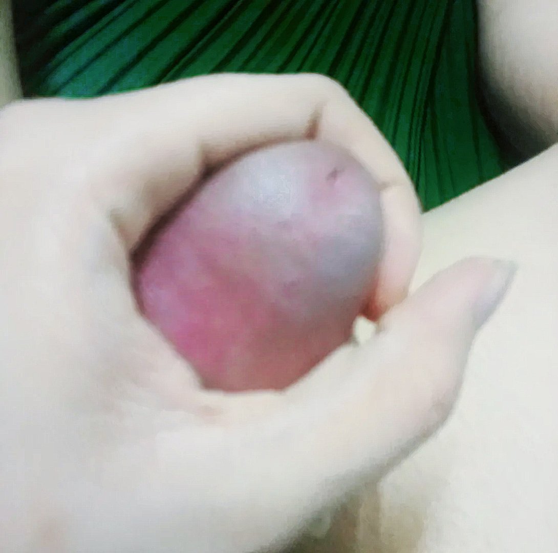 aalyn2000's tweet photo. 🌿😜👅 Tự nhiên có con Bướm nó bay vào phòng rồi đậu ở ĐẶT CẦU thôi thì đọc thần chú "Bướm đi cho a thu..."
#alyn #aalyn2000 #centbot https://t.co/ka1oiIRfQt