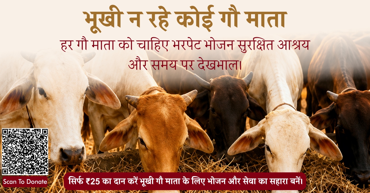 HKS__Foundation's tweet photo. भूखी न रहे कोई गौ माता 🙏
हर गौ माता को चाहिए भरपेट भोजन, सुरक्षित आश्रय और समय पर देखभाल।
आपका छोटा सा दान आज उनकी जान बचा सकता है।