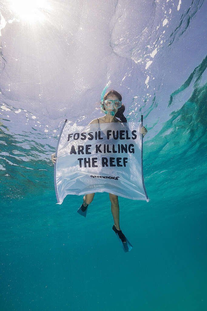Handre's tweet photo. The Great Barrier Reef keeps refusing to die, and the people whose careers depend on its death are furious about it.

For roughly three decades, a rotating cast of government-funded researchers, UN bureaucrats, and documentary filmmakers have scheduled the reef's funeral. Peter Ridd, the James Cook University physicist fired in 2018 for publicly questioning reef doom statistics, watched his colleagues churn out catastrophe reports while the reef itself kept growing coral. The Australian Institute of Marine Science's own bleaching surveys from 2022 showed record high coral cover across the northern and central sections of the reef. Record high. The reef apparently missed the memo.

Government grants flow toward problems, not solutions. An institution that concludes the reef is thriving gets defunded. An institution that produces a glossy report titled "The Reef Has 12 Years" gets another $4 million and a Netflix deal. This is public choice economics operating exactly as predicted: bureaucracies manufacture the demand that justifies their own supply.

You absorb the cost of this racket directly. The Australian government alone has committed over $3 billion AUD to reef rescue programs since 2018. That money moved from the productive economy into the pockets of consultants measuring coral that was never actually dying at the rate they claimed.

The reef itself is a genuinely complex adaptive system shaped by tidal patterns, cyclical bleaching, crown-of-thorns starfish population swings, and water temperature shifts that predate the industrial revolution by millions of years. Coral bleaches, then recovers. It has done this for longer than Homo sapiens has existed. The alarmist model treats one bad bleaching season as a trend and one funding cycle as a conclusion.

None of this means pollution is harmless or coastal development carries zero cost. Property rights over reef access, enforced honestly, would do more to protect it than any bureaucratic taskforce ever has. But honest property rights don't require a $3 billion lobbying operation with satellite offices in Cairns.

The reef thrives. The industry built around its death throes continues fundraising. Both facts coexist comfortably, which tells you everything about whose interests the narrative actually serves.