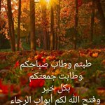 Photo by الدكتور (@drazim22)