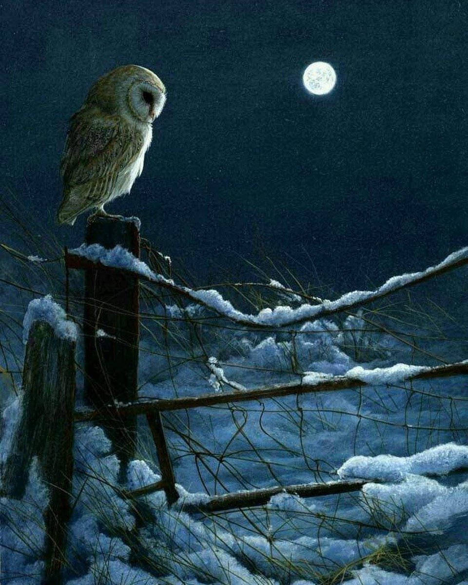 outsidercore1's tweet photo. The winter winds blow... https://t.co/cUDllsoKUV