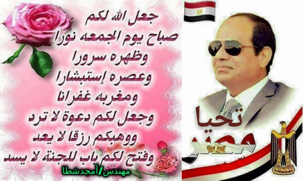 hamed8v's tweet photo. @AlsisiOfficial https://t.co/hg69MyXt6b