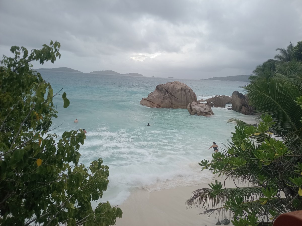 StrainWedding's tweet photo. Noch 3 Tage Seychellen, dann (endlich) wieder nach Hause. Bin nur hier weil ich von meiner Frau dazu genötigt wurde. Immerhin gabs gestern endlich mal was zu kiffen. Wenns bei uns immer noch Sommer ist, dreh ich am Rad. https://t.co/5hw5m8hlOb