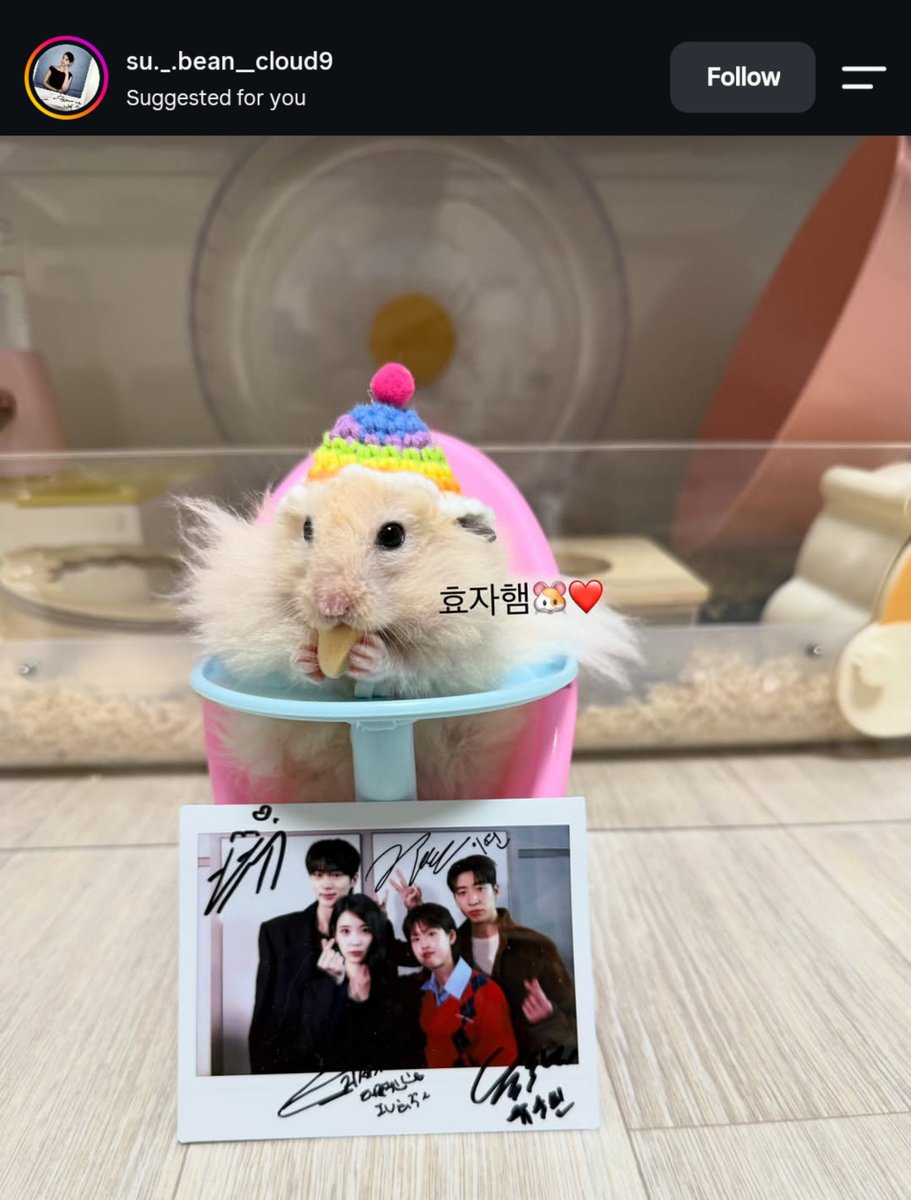 _itsmerys's tweet photo. #PerfectCrown 2P 🥹 https://t.co/xeAevViECh