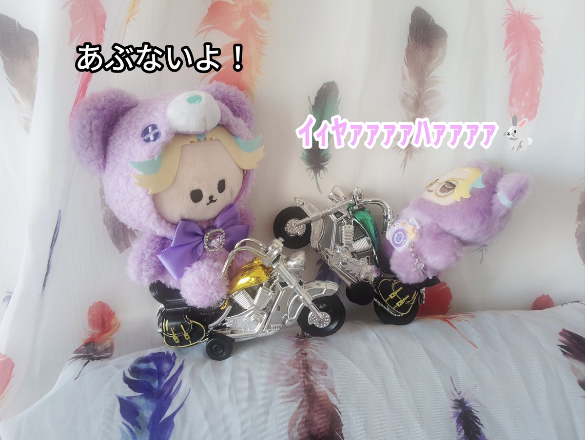 Rindo10201219's tweet photo. 竜胆くん
安全運転してね😊

#ぬい撮り🐇
#tkrvぬい🏍🍁 https://t.co/C9k7VFtg2i