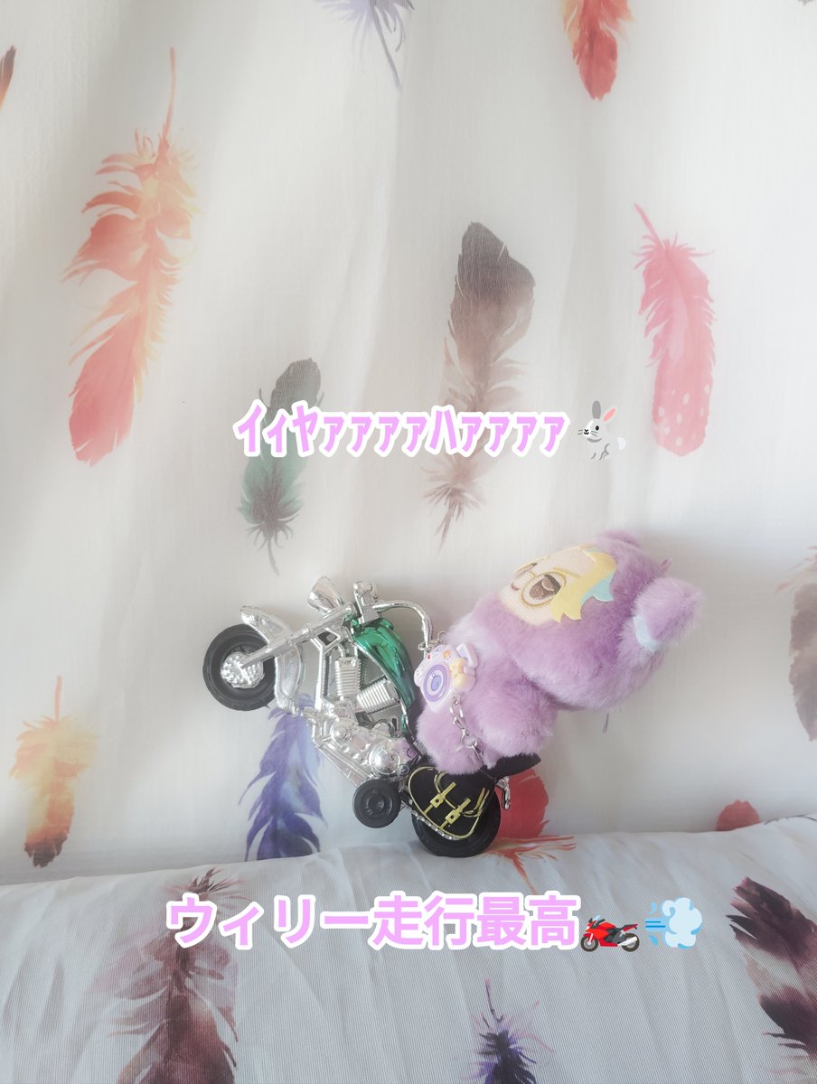 Rindo10201219's tweet photo. 竜胆くん
安全運転してね😊

#ぬい撮り🐇
#tkrvぬい🏍🍁 https://t.co/C9k7VFtg2i