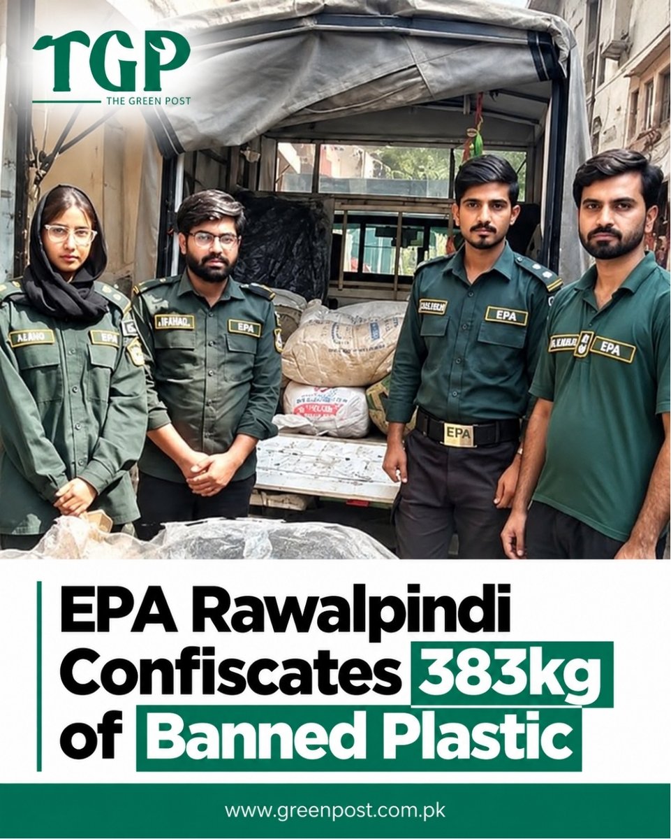 GreenPostpk's tweet photo. EPA Rawalpindi confiscated 383kg of banned plastic during a citywide campaign, reinforcing efforts to curb single-use plastic pollution and promote a cleaner environment.
Read more: https://t.co/Lr0DetpSEZ
#TheGreenPost #TGP #PlasticPollution #PlasticFreePunjab #EnvironmentalProtection