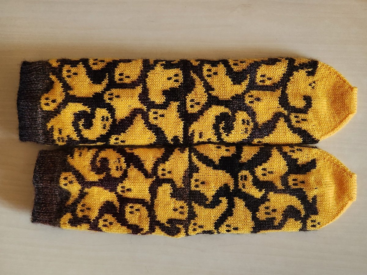 calculus_634's tweet photo. 왼쪽 뜨는 동안 성장해버렸다... https://t.co/RF1tzzGeFS