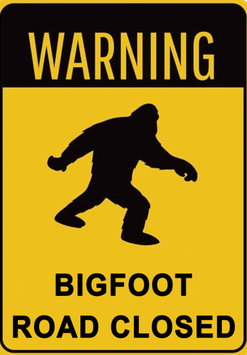 EchoForgotRealm's tweet photo. You don't have to prove a creature exists to study the stories built around it.

Nelsonville's first Bigfoot Festival begins today, bringing Bigfoot into a weekend of Appalachian heritage, cryptid talks and community folklore. #FolkloreSunday 

https://t.co/GdKVudgtQv https://t.co/JnVsC9scf7