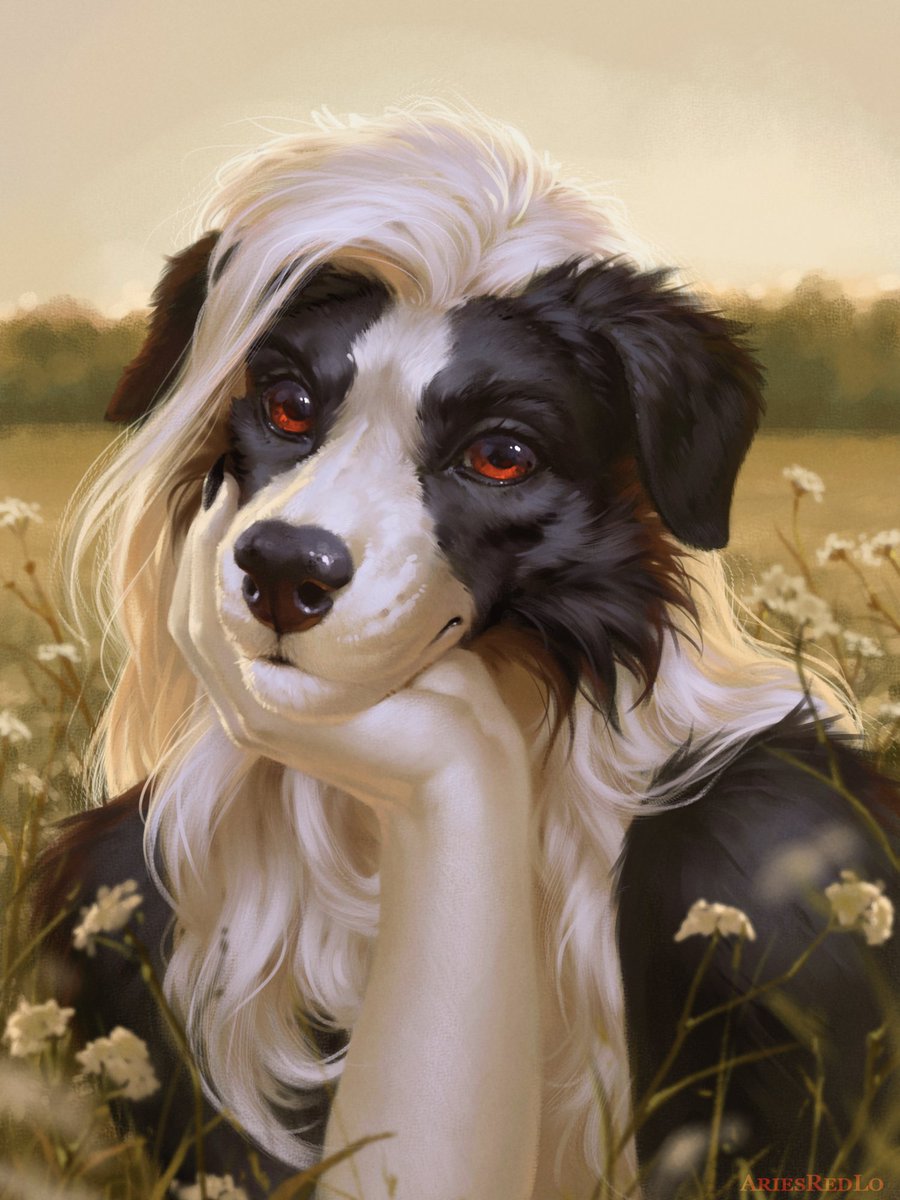 Deith_Cared's tweet photo. New portrait for Ren Collie! https://t.co/zDXe5P9829