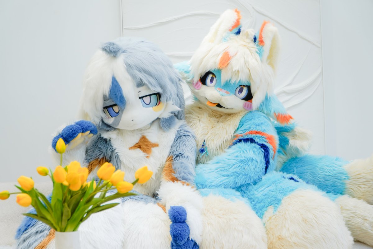 Koyu_Draco's tweet photo. 베라 짱 좋아!🥰🩵
#FursuitFriday https://t.co/cuQy2NWys9