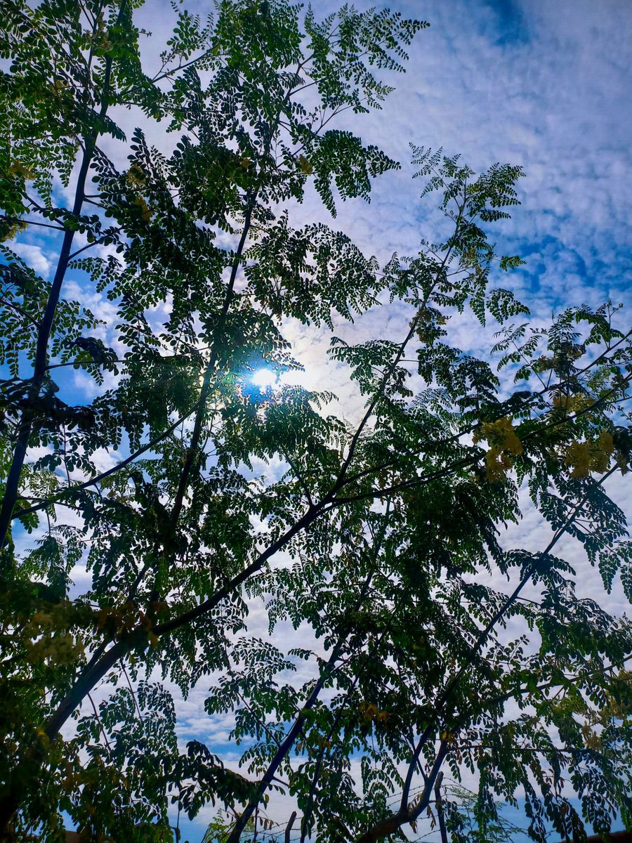 Stranger1Ss's tweet photo. Morning 🌤 https://t.co/WDvxlr2ibl