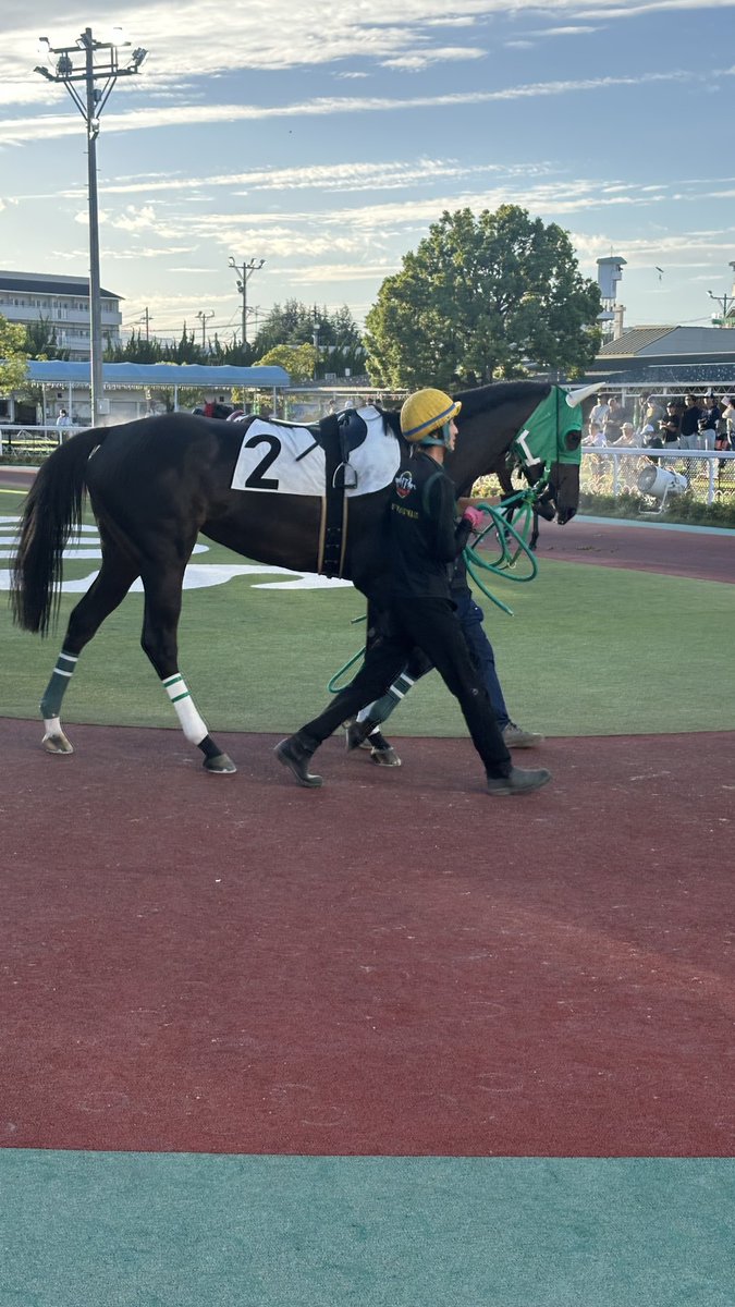 taxtoshi's tweet photo. エンジェルグラース🐎

惜しかったですね😂
調教師さんからは、外に出せたら勝ててましたと言われました🏇
それでも今日惨敗したら、希望が潰えていたので、2着でも嬉しいです😊

関係者の皆様に感謝致します🙇‍♂️
そして、次は勝ちたいですね❗️🏇 https://t.co/jr4XUnv7YM