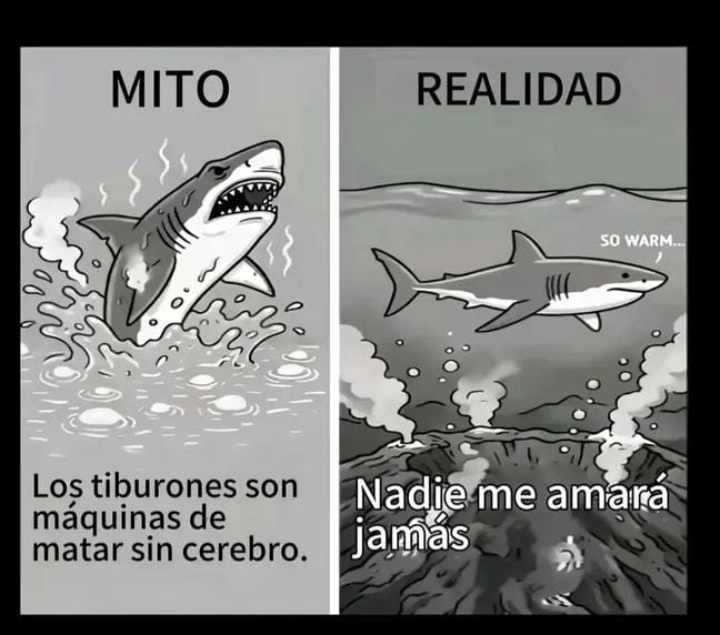 agnesdigitx2's tweet photo. waaaaaa me proyecto waaaaaaaaa https://t.co/JeXeKh3Xhh