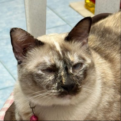 fondfav's tweet photo. #NewProfilePic https://t.co/EnfNmQxkUV