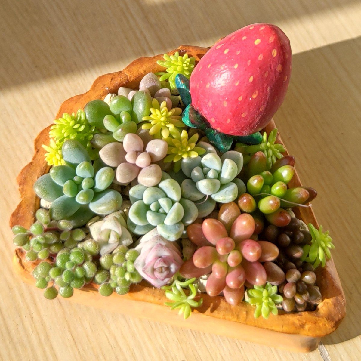 minato_ms's tweet photo. これがこう！！　ホールの形に並ぶとケーキ屋さん感増して可愛い🎂 https://t.co/vabEC8ZkLh