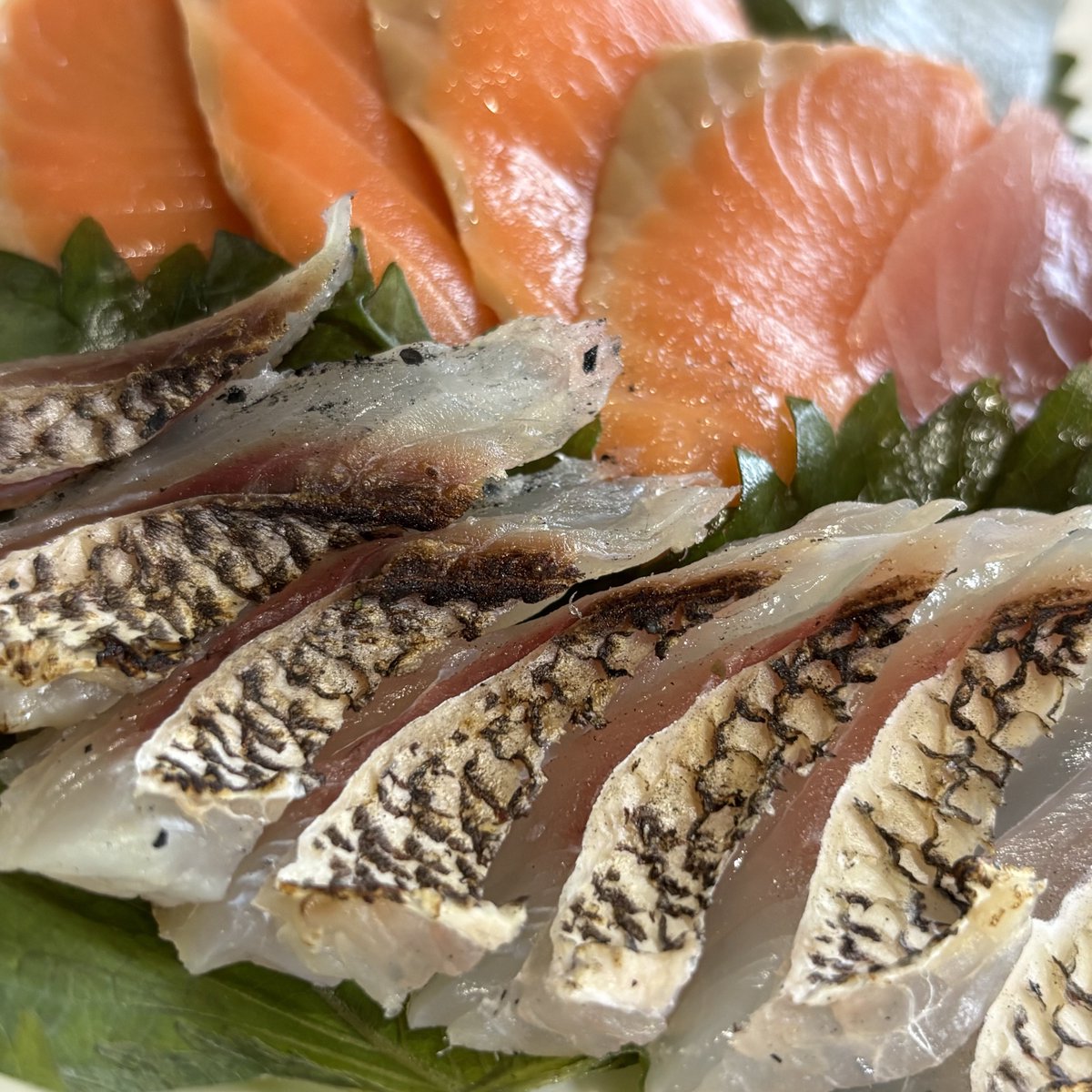 namatamanama's tweet photo. 仕事終わりに たいぽよ 釣って...帰ってから寝かせておいた たいぽよ を食べる...あると思います 🐟 
 
#RedSeaBream 
#たいぽよ　
#tulalajp 
#RoutesC69MH 
#炙れっ‼︎ 🔥🔥 https://t.co/79iCpFixry
