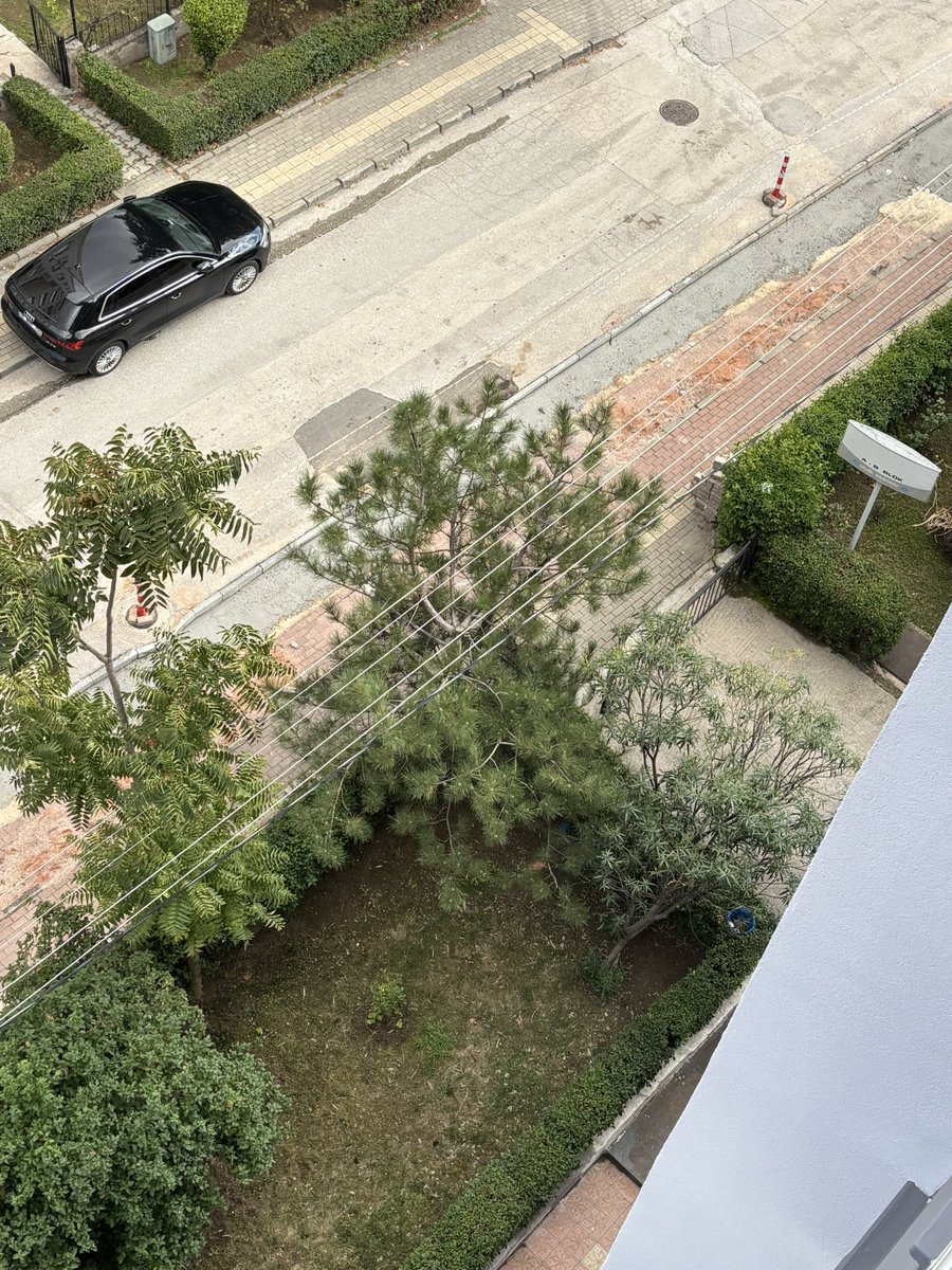 EcmGrcn's tweet photo. 22 Ağustostan beri hiçbir ilerleme kaydetmeyip evimize girmemize ve arabamızı park etmemize müsade etmeyen @NiluferBel ‘ne teşekkür ederim. Acaba ne zaman yapacaksınız şu yolu? https://t.co/qje4TV535i
