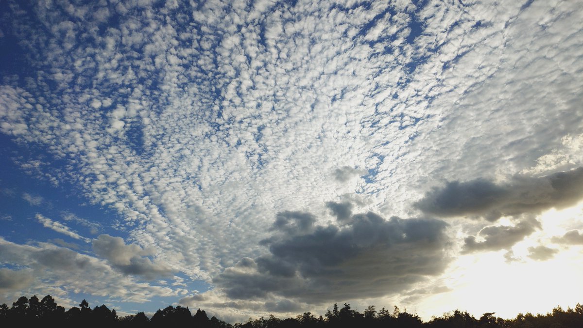 MinaseSakuya's tweet photo. #イマソラ https://t.co/tyejyN8woM
