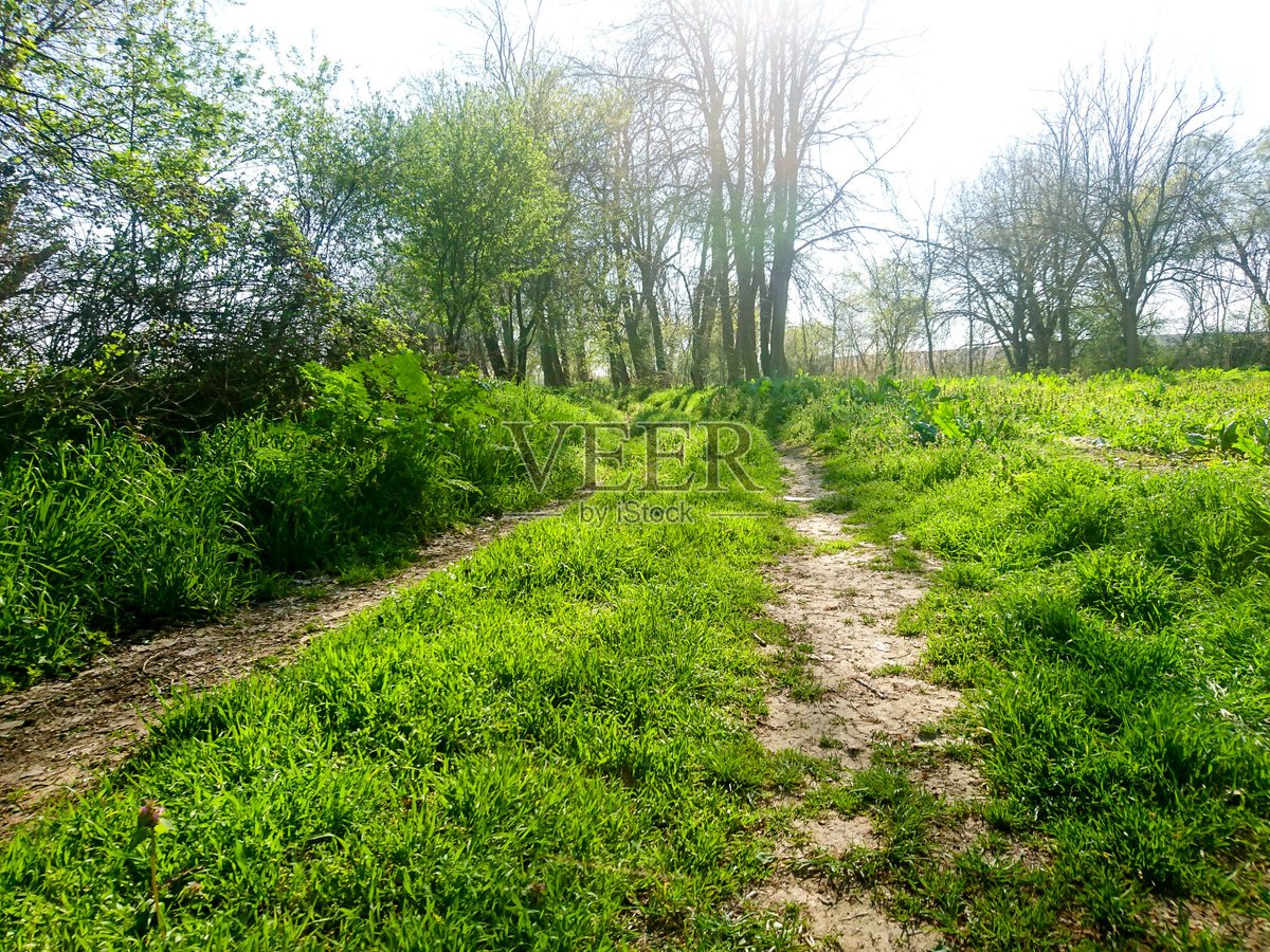 ThomasStepnxk7's tweet photo. Let's roam on the gentle slope, savor the tiny wild carbon notes along the way, and feel the quiet charm of nature~ https://t.co/NZBcISLw8q