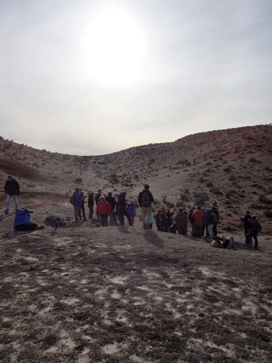 AASPTPS's tweet photo. π Almost a month since the 58th AASP-TPS Annual Meeting & 19th Argentine Symposium of Paleobotany and Palynology in Trelew! π
π¬ Great talks, new connections, old friends π€
π Thanks to all! What were your highlights? π
#Palynology #Paleobotany #AASPTPS https://t.co/nF7uglmymi