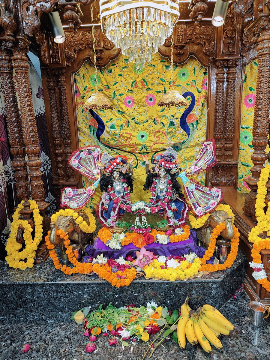 ISKCON_Dwarka's tweet photo. श्री रुक्मिणी द्वारकाधीश -2nd October 2026
हरे कृष्ण हरे कृष्ण
कृष्ण कृष्ण हरे हरे ।
हरे राम हरे राम
राम राम हरे हरे ||

#Harekrishna #IskconDwarka #LordKrishna #Dailydarsan #RukminiDwarkadhish https://t.co/T7bMWm0wyN