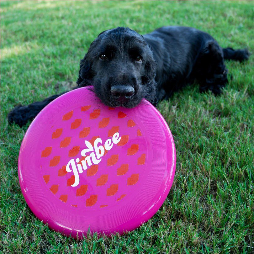 Jimbee_oficial's tweet photo. POV: encuentras tu juguete favorito y no piensas soltarlo.👀🐶💗 

https://t.co/ULvE5lvOJU

#Jimbee #Frisbee #POV #PerrosFelices #Perro #DogLovers #Juguete https://t.co/RlXFlklcH5
