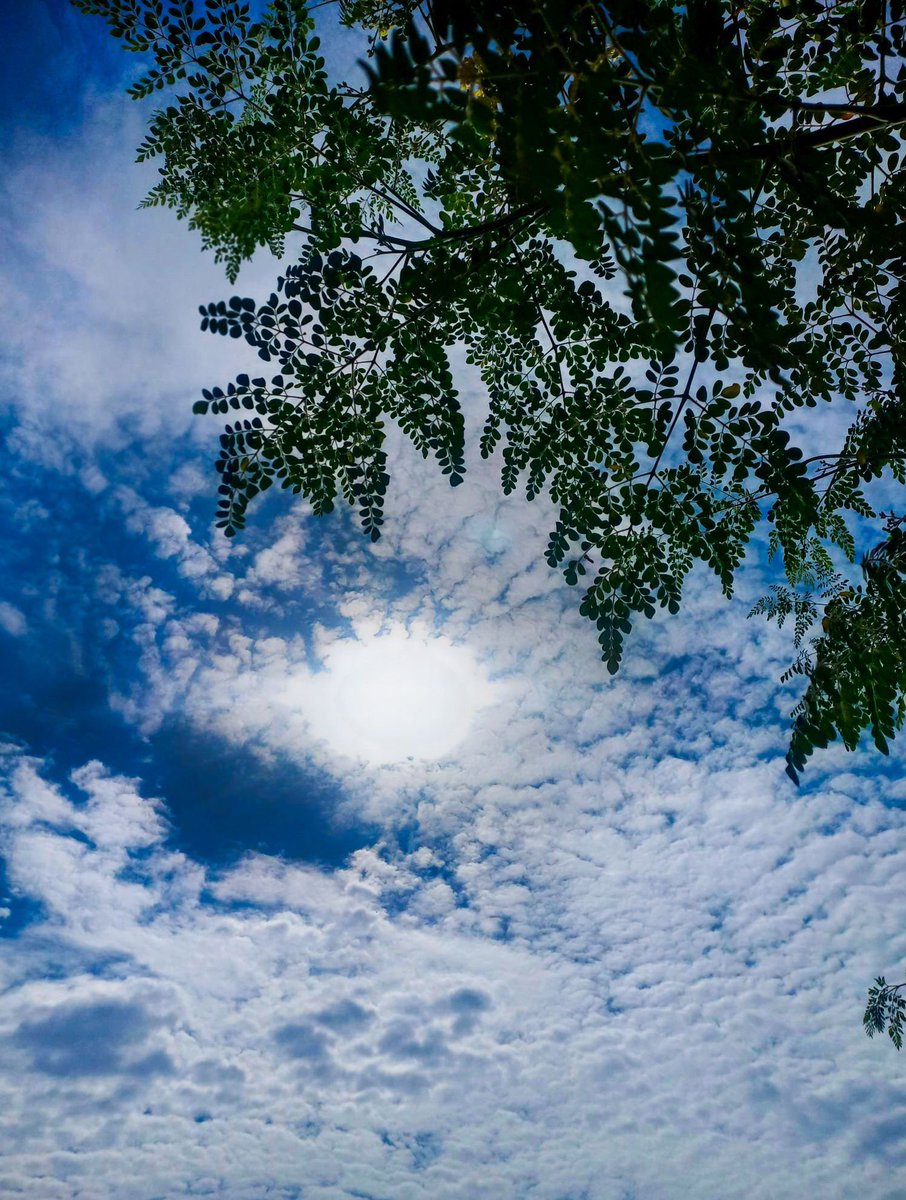 Stranger1Ss's tweet photo. Morning 🌤 https://t.co/WDvxlr2ibl