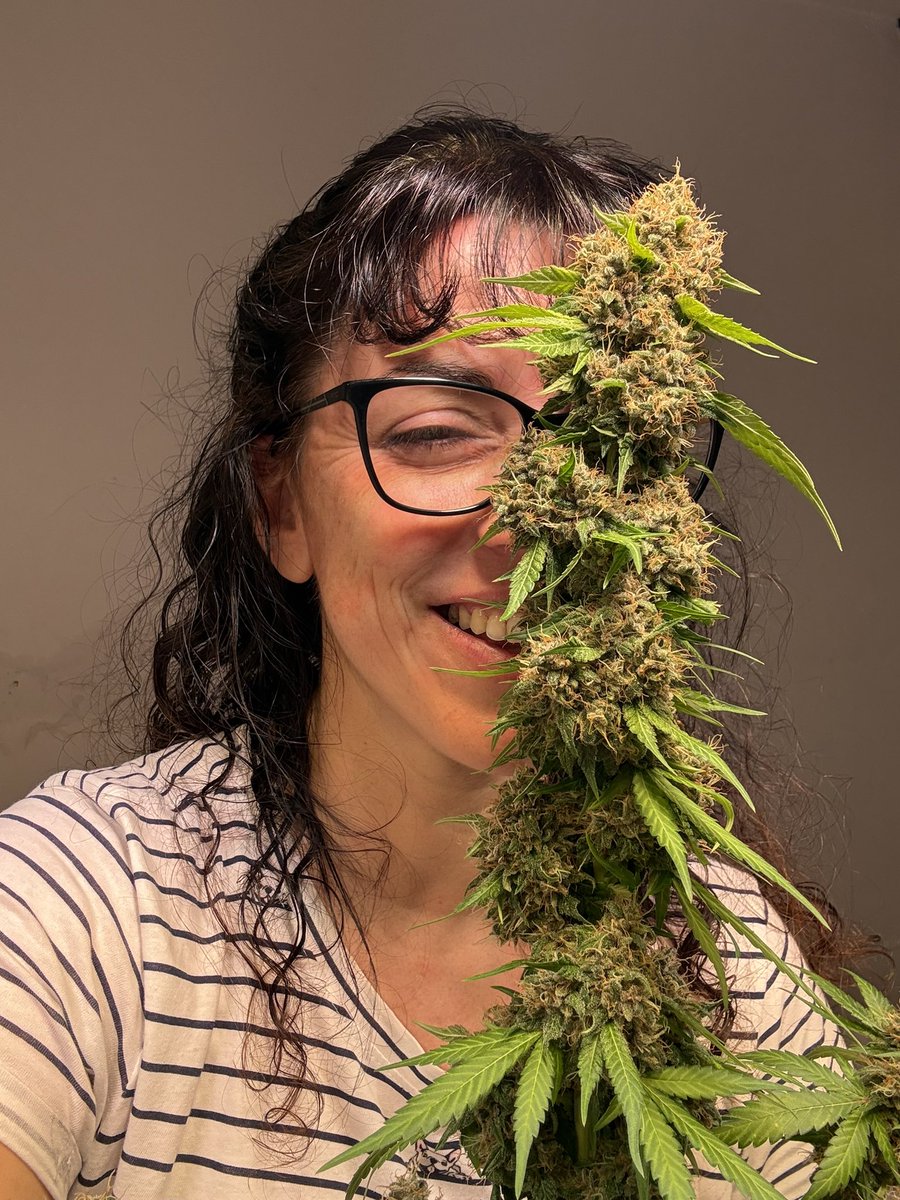 draweedoficial's tweet photo. 😑😂 
La cosecha de la felicidad ✨ https://t.co/M9UpJSrPkg