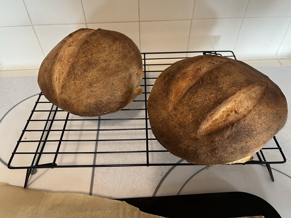 pelicantpark's tweet photo. Made my first loaves of sourdough with my starter!! They’re a little toasty but they puffed up so well I can’t wait to try them https://t.co/3cm09vXIVB