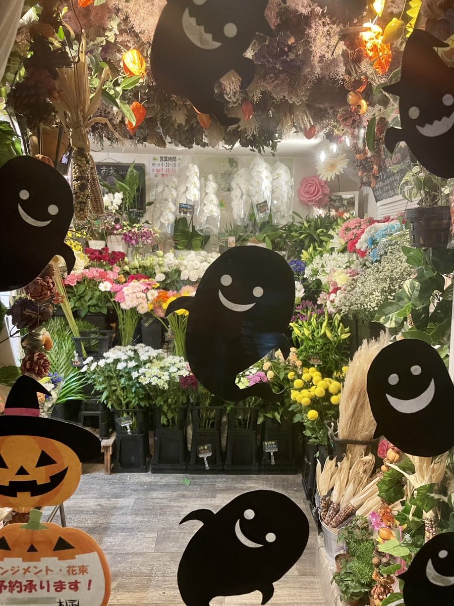 FlowerS48901380's tweet photo. 今週は気温の差があり、体調を崩しやすくなり、インフルエンザ😷も流行り出したみたいなので、お気をつけてくださいね。店内には秋のお花が続々入荷しております。当店LINE電子カタログができました。LINEのホーム画面からご覧いただけます😄
10月4日（日）はお休みします💐
宜しくお願い致します🙇‍♀️ https://t.co/0oSUPfKLx1