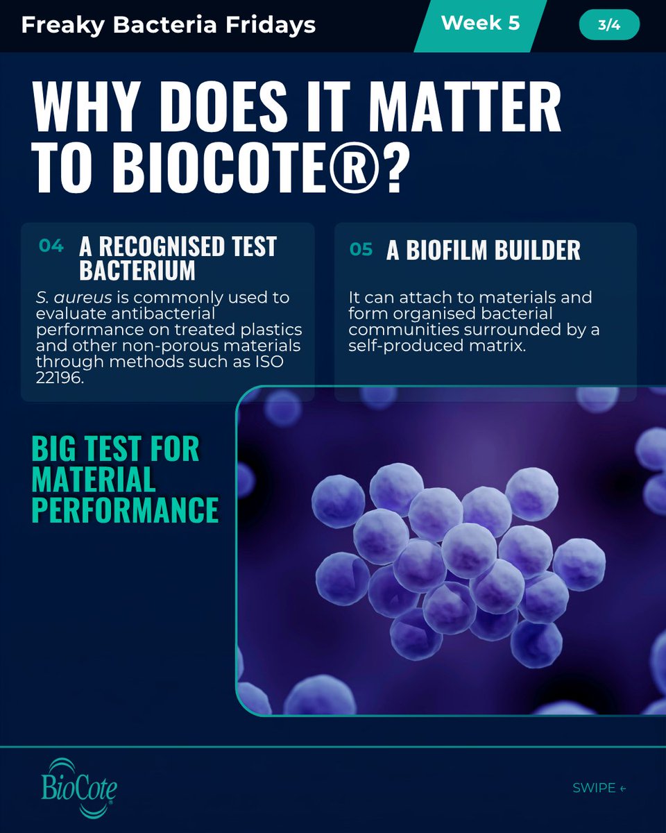 BioCote's tweet photo. S. aureus can persist on surfaces. Independent ISO 22196 testing found a 99.91% reduction in S. aureus on a BioCote®-treated surface after 24 hours. Cleaning still matters.

Read more: https://t.co/eSYWT8hJZa

#FreakyBacteriaFridays #BioCote https://t.co/8TNzV1C8au