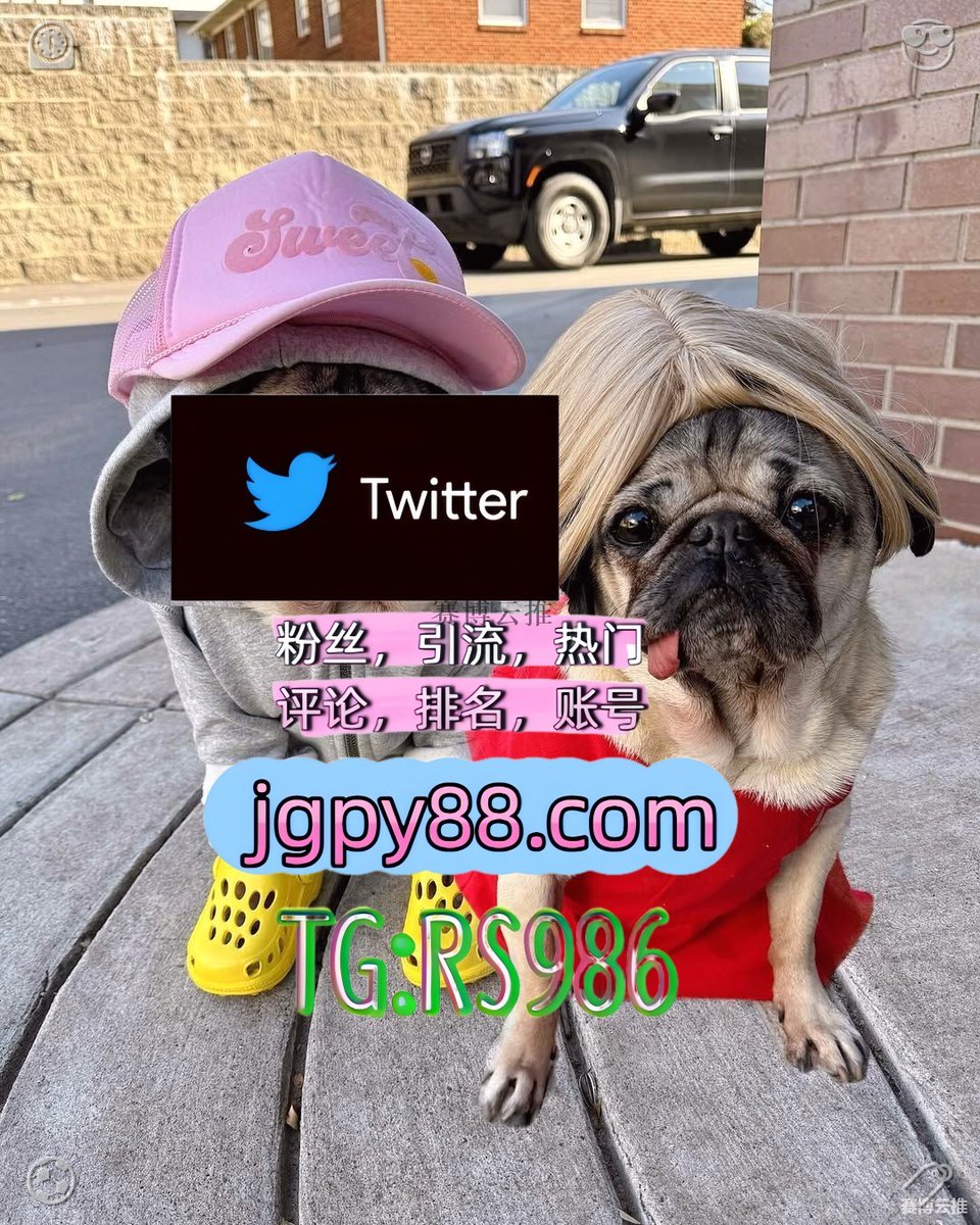 Note_Sangrit's tweet photo. Story bookPeach pieShort lampFruit salad🐶
推特账号批发🤩推广营销
自动脚本👈X矩阵系统👸热门号
矩阵互动輔助工具💄多账号管理
流量增长🙊推特矩阵系统
博白🍜库尔勒🤺高安🦕辽源😒宜品 https://t.co/EPhuFXa33c