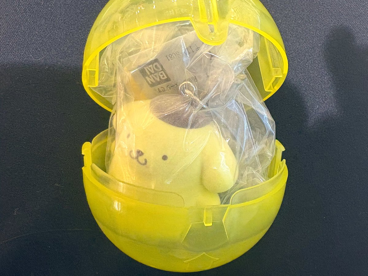 _angel_tsu's tweet photo. サンリオ カラフル カラビナ マスコットチャーム　交換

【譲】プリン
【求】シナモロール

郵送希望
リプもしくはDMまでお願いいたします。 https://t.co/kXkO74tAVn
