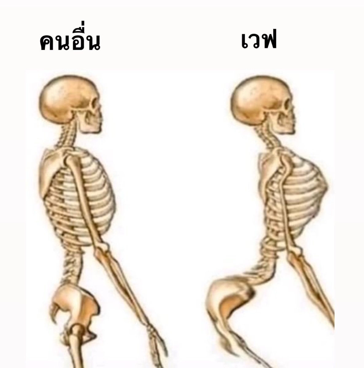 ncyyyyjiji's tweet photo. เหมือนมากกกก555252525525255

#waavetnp @waavetnp https://t.co/4mirb8JHDr
