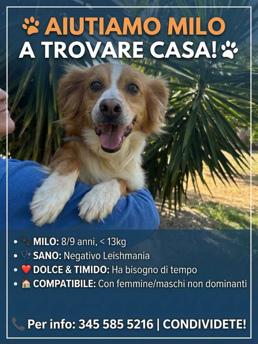 Image from un atto d'amore odv (@unonlus)