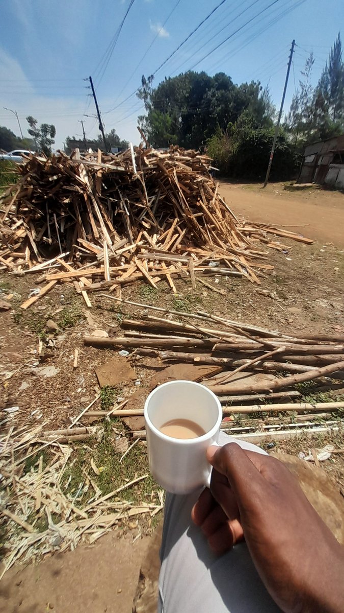 Auline_Paul_Ke's tweet photo. I have opened a business of selling firewood in Kisumu 🪵(linsenced)
​Located right at Nyalenda Kilo Junction.

 We supply clean, quality firewood for hotels, weddings, caterers, and events.
​📞 Call/WhatsApp: +254 794 006 061 https://t.co/obcIjq9OCL