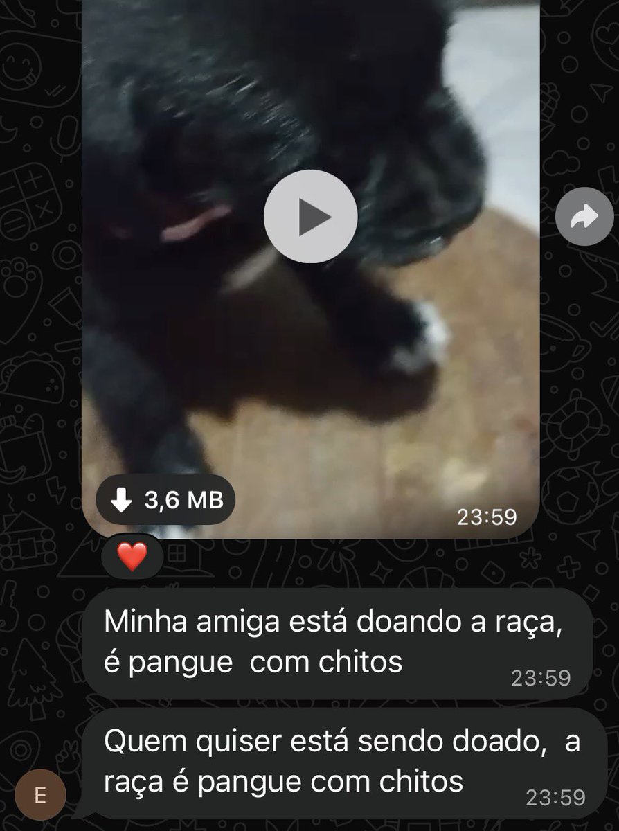 Maxuyyyy's tweet photo. Raça Pangue com Chitos https://t.co/7RZcYhbqAq