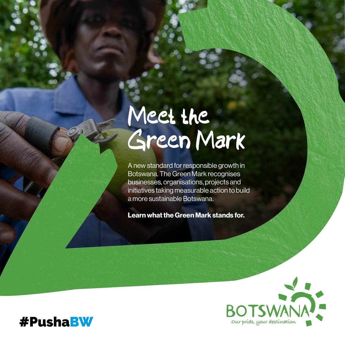 OfficialBrandBW's tweet photo. The Green Mark recognises businesses, organisations, projects and initiatives taking measurable action to build a more sustainable Botswana.

From responsible business practices to environmental stewardship and sustainable innovation...https://t.co/XscZspTzcR https://t.co/cEQuru82I8