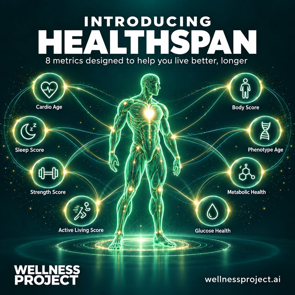 the5krunner's tweet photo. A biological age of 35 at 42 says nothing about which part of your health is weak.
Wellness Project Healthspan keeps eight factors apart, from Cardio Age to Glucose Health, and shows the inputs and confidence behind each one.
#wellnessproject #fitness https://t.co/SaHwvaltuB