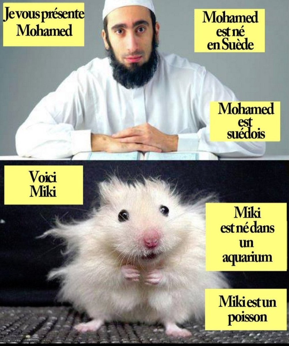 JawsFake's tweet photo. @Hk9580 @labelizedscouse Le "français" en question: https://t.co/x825PWMPB0