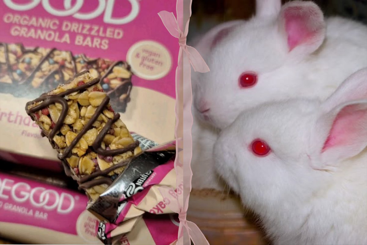 fluffyfrogmouth's tweet photo. ——— ˗ˋ ୨୧ ˊ˗ —————— ˗ˋ ୨୧ ˊ˗ ——
a small granola/oat bar thened #foodpoll
಄಄಄

tags🌾🍪⤵︎
#edrtwt #3dtwt #ricecaketwt #interactivethread #thisorthat https://t.co/jsAhCqA6Tg